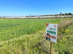 Terreno Agricolo In Vendita In Strada Senza Nome A Pachino Mq