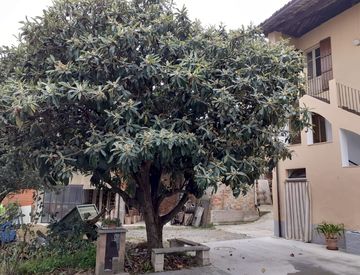 Appartamento In Vendita In Zona Centro A Castelnuovo Don Bosco Mq