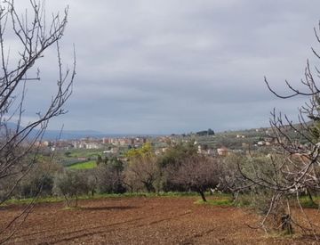 Terreno Edificabile In Vendita In Zona Centro A Campagna 1000mq Casa It