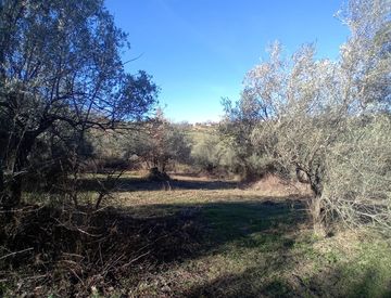 Terreno Agricolo In Vendita In Contrada Selva 8 A Manoppello 16660mq