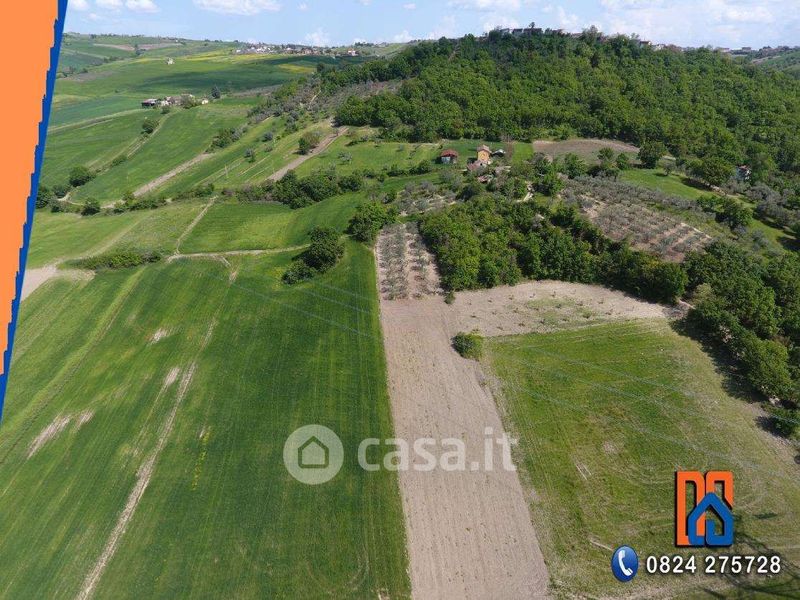 Terreni Agricoli In Vendita A San Leucio Del Sannio In Zona Vigne Casa It