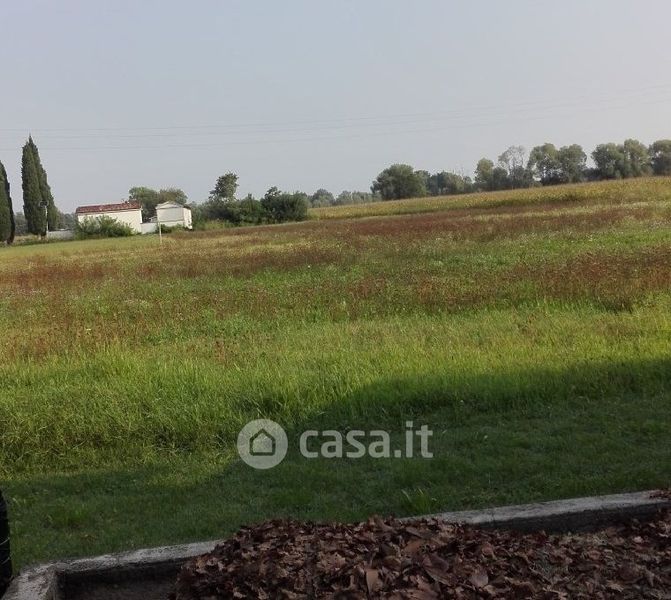 Terreni Agricoli In Vendita A Camino Al Tagliamento In Zona San Vidotto