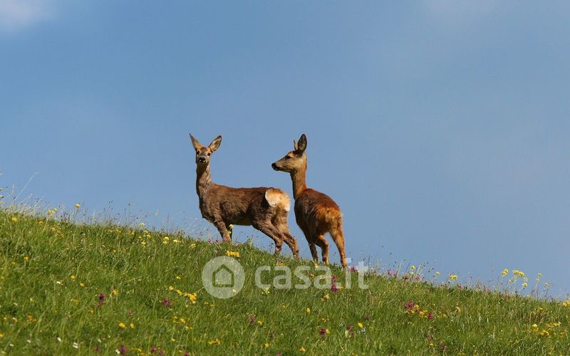 Rustici Casali In Vendita A Val Di Nizza In Zona Poggio Ferrato Casa It