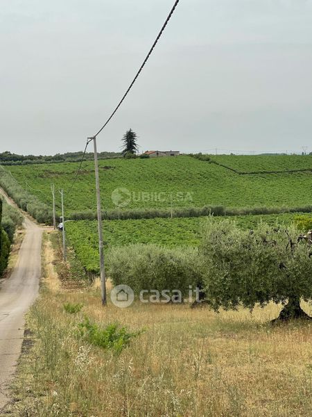 Terreni In Vendita A Cisterna Di Latina Casa It