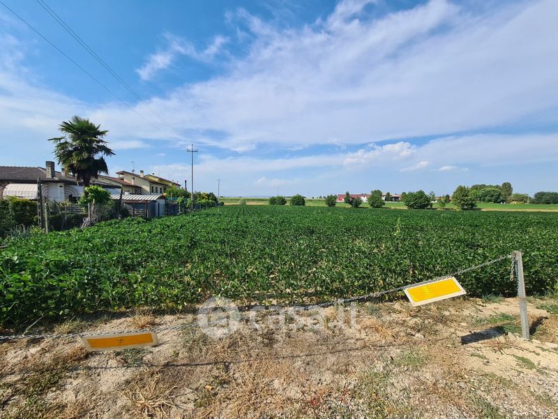 Terreni Edificabili In Vendita A Montagnana In Zona Centro Casa It