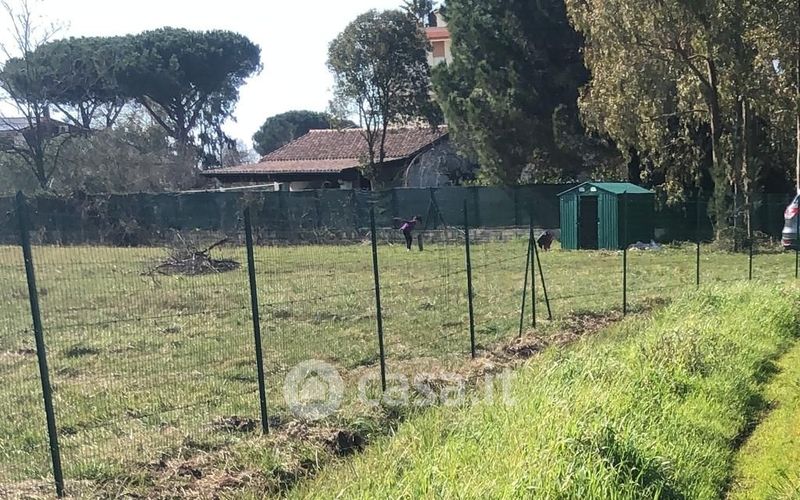 Terreni Agricoli In Vendita A Latina In Zona Latina Lido Fogliano