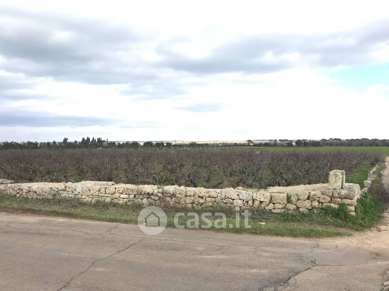 Terreno Agricolo In Vendita In Strada Provinciale 291 A Ugento 6575mq