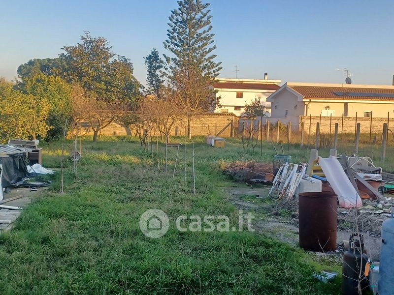 Terreni Edificabili In Vendita A Nettuno In Zona Centro Casa It