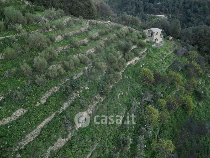 Terreno Agricolo In Vendita In Via Delle Otto Case 94 A Ventimiglia