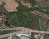 Terreno agricolo in vendita