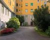 Trilocale in affitto