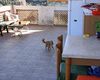 Terrazza