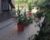 Terrazza