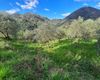 Terreno agricolo in vendita