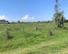 Terreno agricolo in vendita