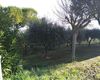 Terreno agricolo in vendita