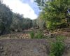 Terreno agricolo in vendita