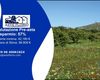 Terreno agricolo in vendita