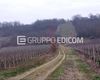Terreno agricolo in vendita