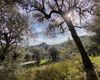 Terreno agricolo in vendita