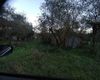 Terreno agricolo in vendita