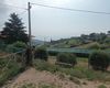 Terreno agricolo in vendita