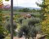 Terreno agricolo in vendita