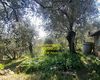 Terreno agricolo in vendita