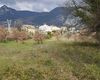 Terreno agricolo in vendita