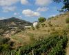 Terreno agricolo in vendita