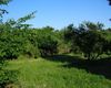Terreno agricolo in vendita