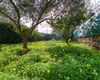 Terreno agricolo in vendita