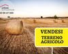 Terreno agricolo in vendita