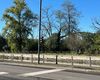 Bilocale in affitto