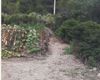 Terreno agricolo in vendita