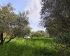 Terreno agricolo in vendita