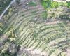 Terreno agricolo in vendita