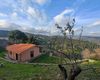 Villa in vendita