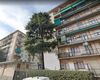 Trilocale in affitto