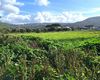 Terreno agricolo in vendita