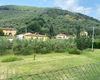 Appartamento in affitto