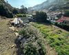 Terreno agricolo in vendita