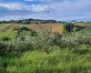 Terreno agricolo in vendita