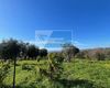 Terreno agricolo in vendita