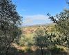 Terreno agricolo in vendita