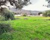 Terreno agricolo in vendita