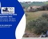 Terreno agricolo in vendita