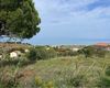 Terreno agricolo in vendita