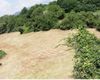 Terreno agricolo in vendita