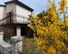 Villa in vendita